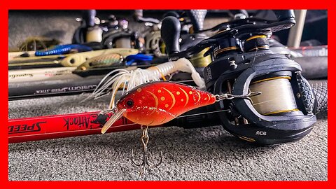 WHAT do I have RIGGED up RIGHT NOW and WHY! - Fall Bass Fishing