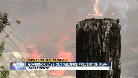 Wildfire prevention plan released