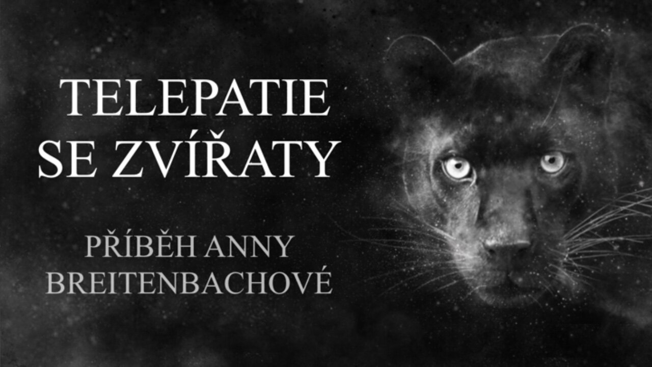Telepatie se zvířaty příběh Anny Breytenbachové