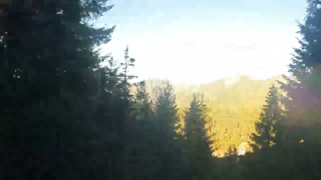 Amtrak Coast Starlight (1)