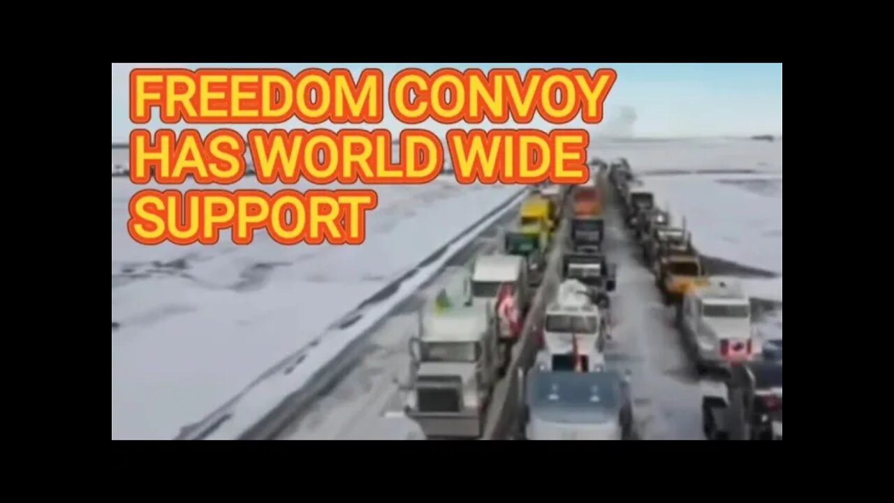 Freedom Convoy has Worldwide Support