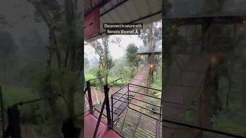 Disconnect with Namaste Wayanad 🇮🇳