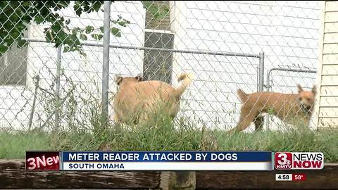 Utility worker attacked by dogs