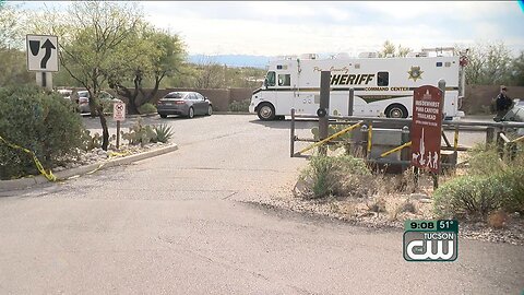 Pima Canyon Trail closed while mountain lions trapped