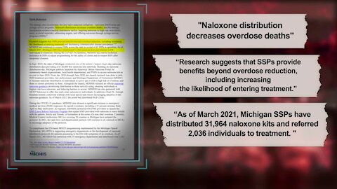 Michigan Department of Health and Human Services's 2020 Opioid Task Force Report says that naloxone distribution decreases overdose deaths