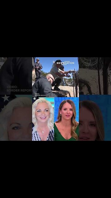 ‘Border vets’ seal off gaps in the wall