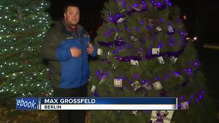 Christmas tree honors domestic violence victims