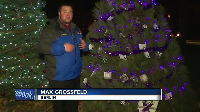 Christmas tree honors domestic violence victims