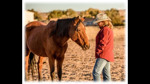 Human and Animal Soul Whisperer Ginny with Gail of Gaia of Free Range