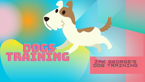 INSANE $1,000 Dog Obstacle Course !! Dogs Training