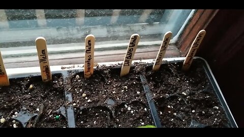 New seed planting updates