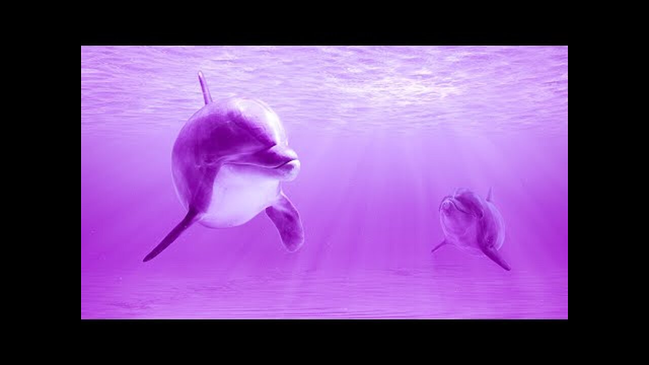 Deep Healing Energy | 528Hz Ancient Frequency | Sound Healing Session | Zen Meditation