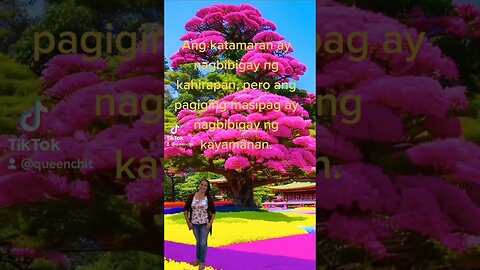 katamaran...
