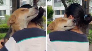 Woman Receives The Most Precious Hug From Her Doggy