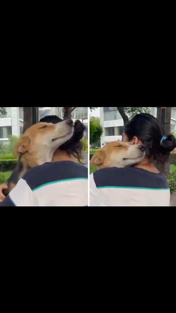 Woman Receives The Most Precious Hug From Her Doggy