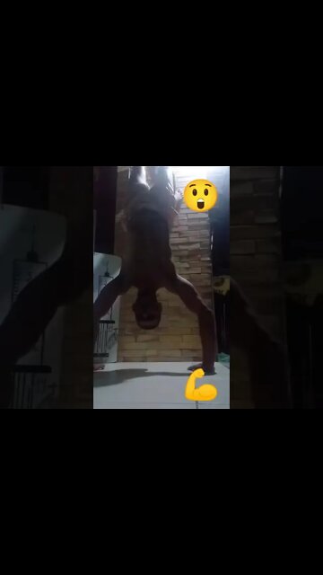 FLEXÃO de OMBRO DE CABEÇA PRA BAIXO