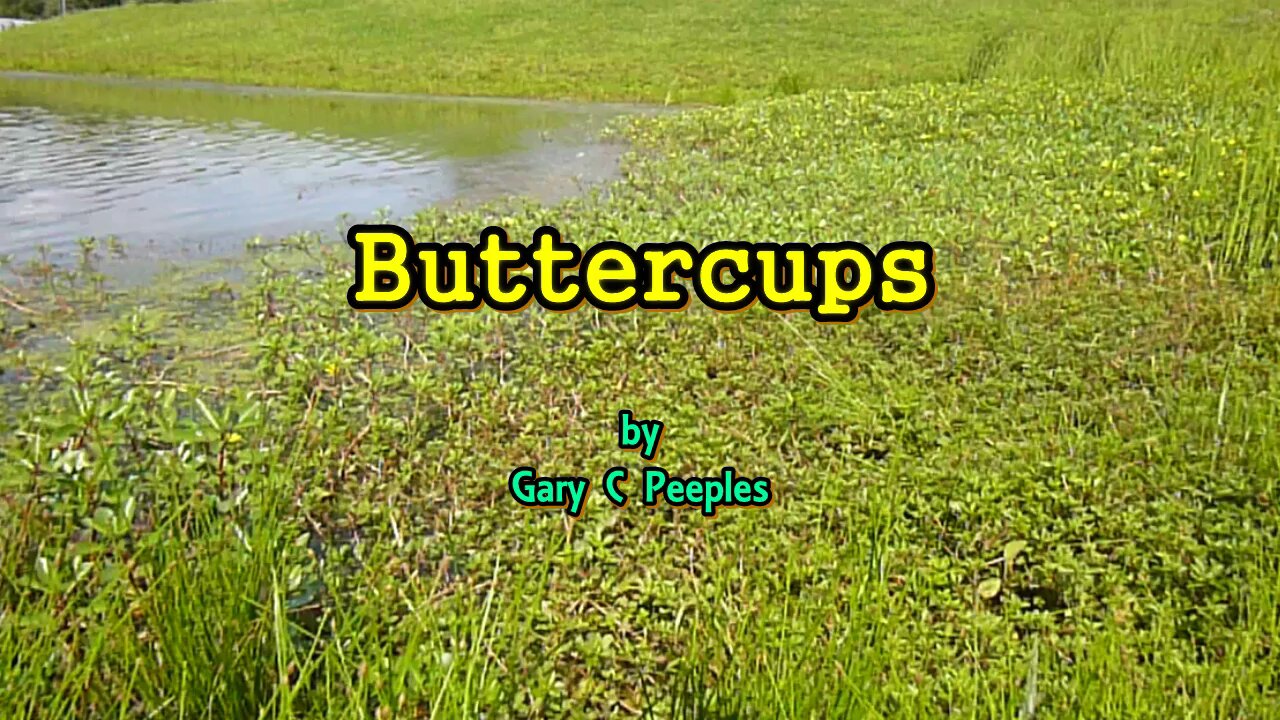 Buttercups by Gary C Peeples