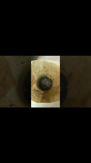 "America Runs on #dunkin?" I'll be the judge of that!