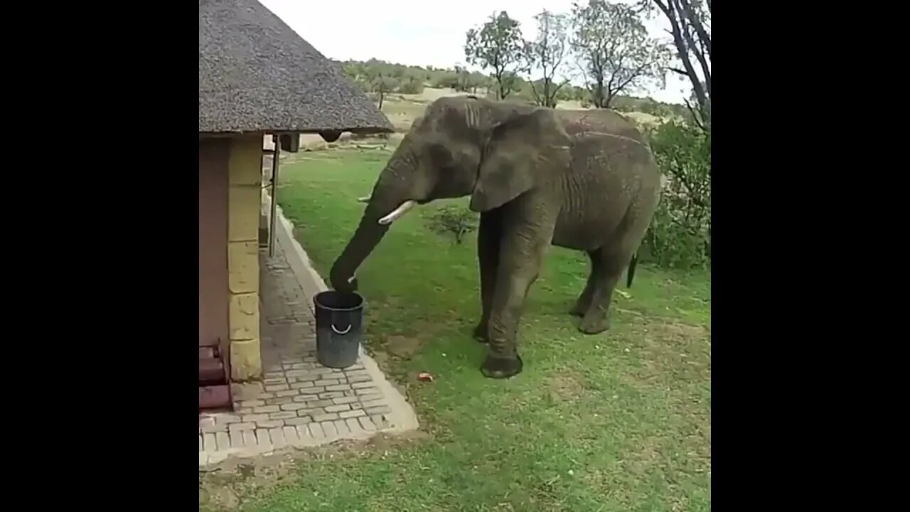 Mission of saving the Planet