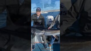 MY FRIEND CAUGHT 7 FEET BIG MARLIN