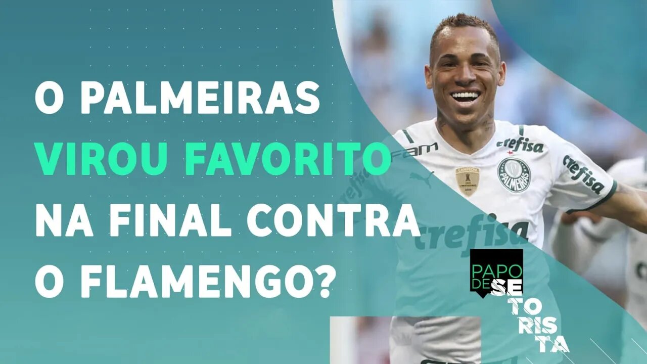 Se fosse HOJE, o Palmeiras seria FAVORITO contra o Flamengo na FINAL da Libertadores?