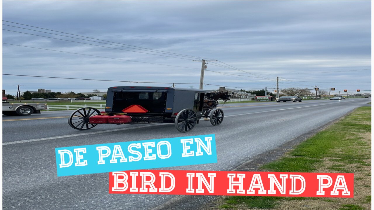 Vacaciones en Bird in Hand PA 🎉