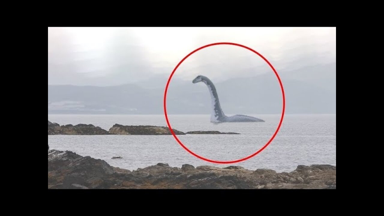 Wow! 5 Sea monsters caught on camera