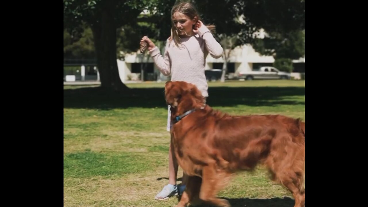 Dog shares sweet moment with girl