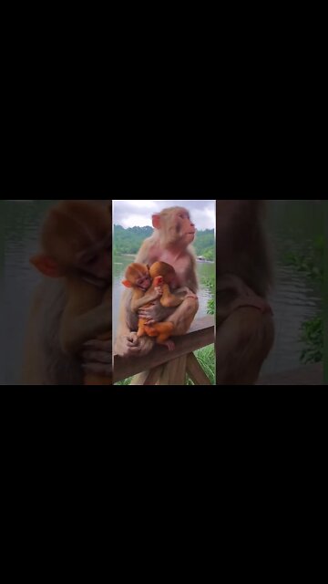 Most Amazing and trending video||relaxing your mind||trendig videos|| #shorts #trending #viral #live