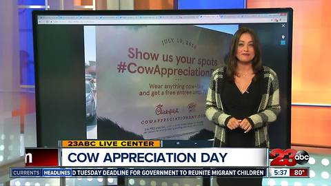 Cow Appreciation Day: Free Chick-Fil-A