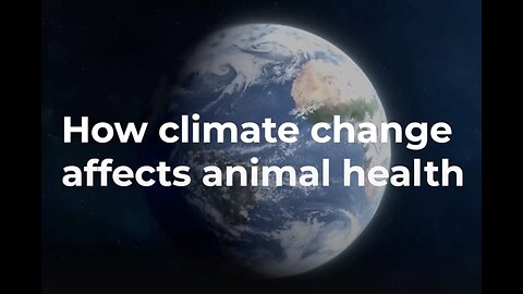 How climate change affects animal health