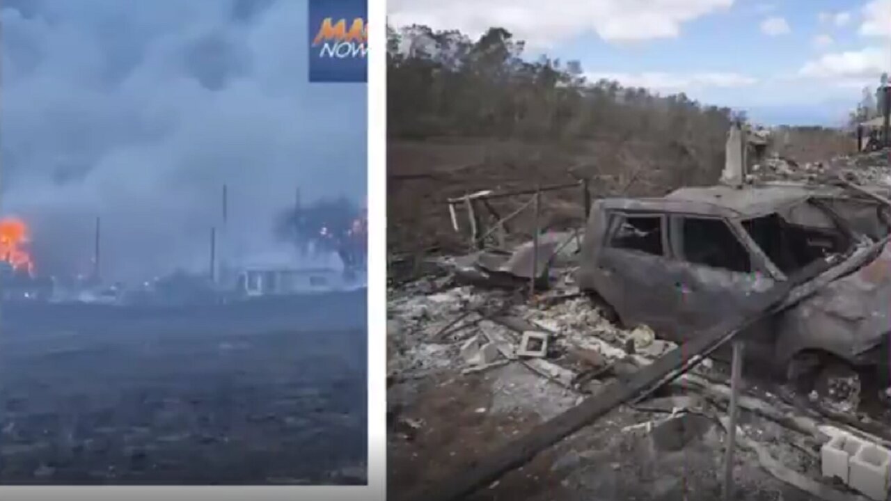 Forensic Arborist Shows Maui & California Fire Inconsistantcies