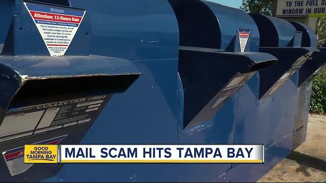 Warning: Protect yourself from the Tampa Bay mail scam