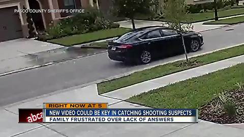 Deputies investigate execution-style murder of worker in Wesley Chapel