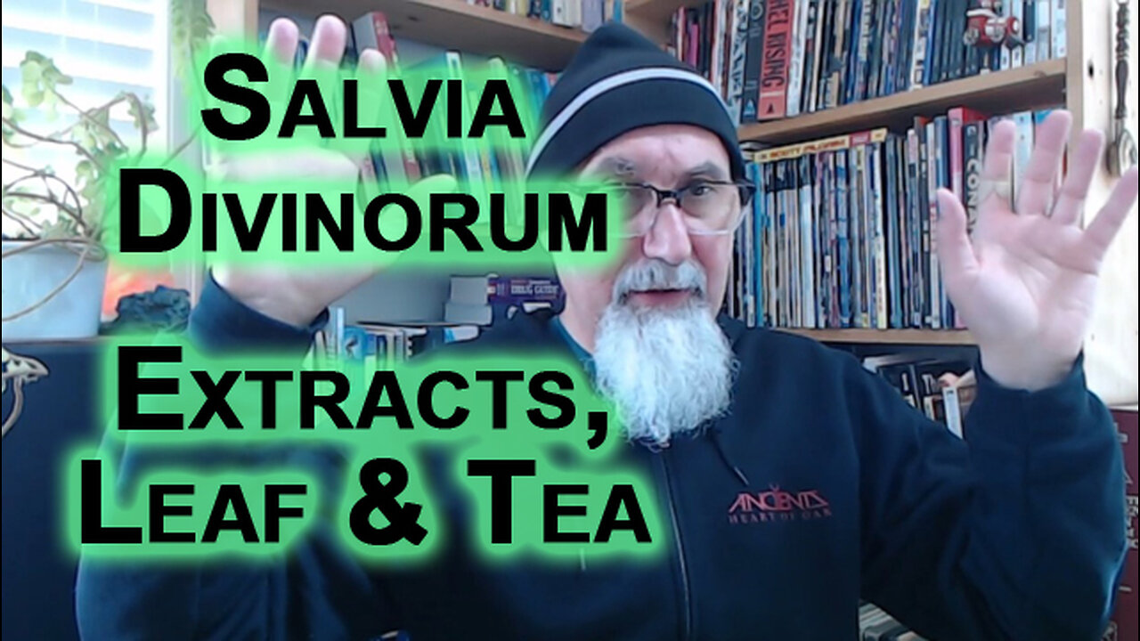 Salvia Divinorum Discussion: Extract, Leaf and Tea