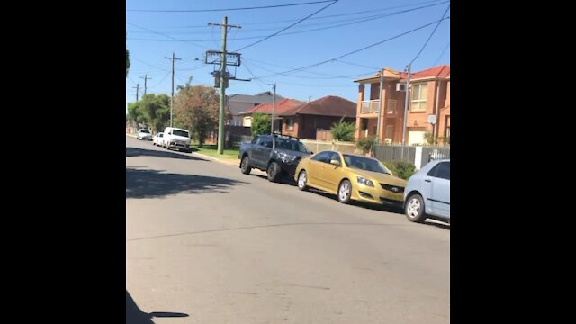 Trying to escape lockdown