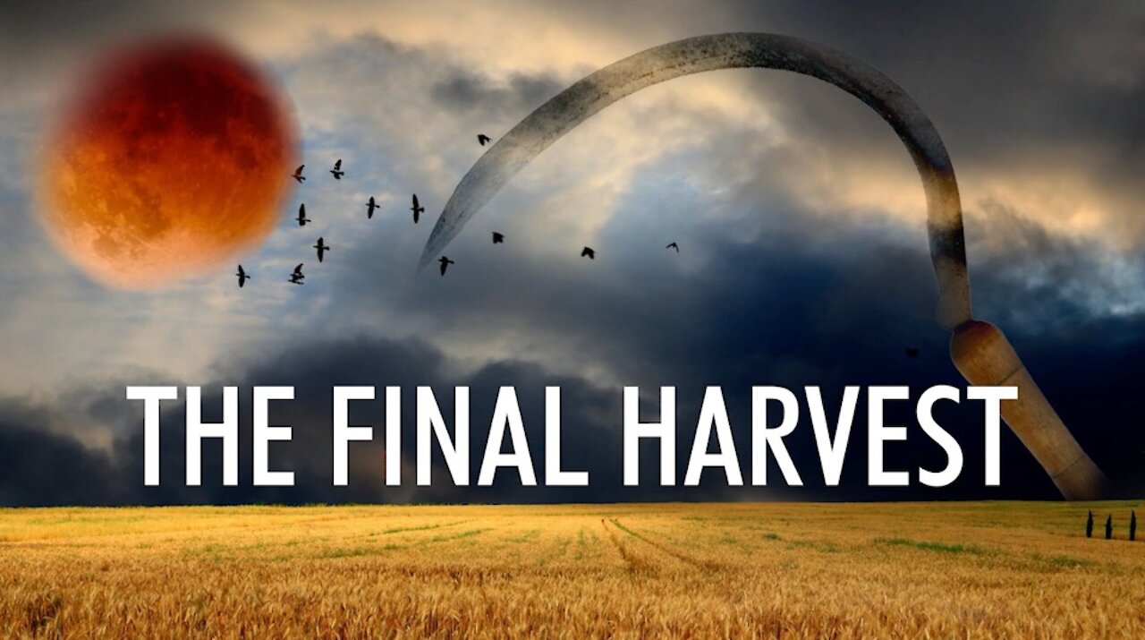 The Final Harvest