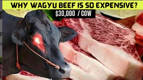 Why Wagyu Beef is So Expensive?