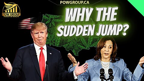 Why Are MJ Stocks Up Today? My Thoughts & Opinions... Two Weeks Until US Elections