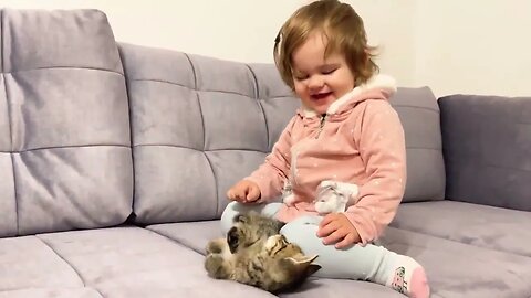 cute little cat