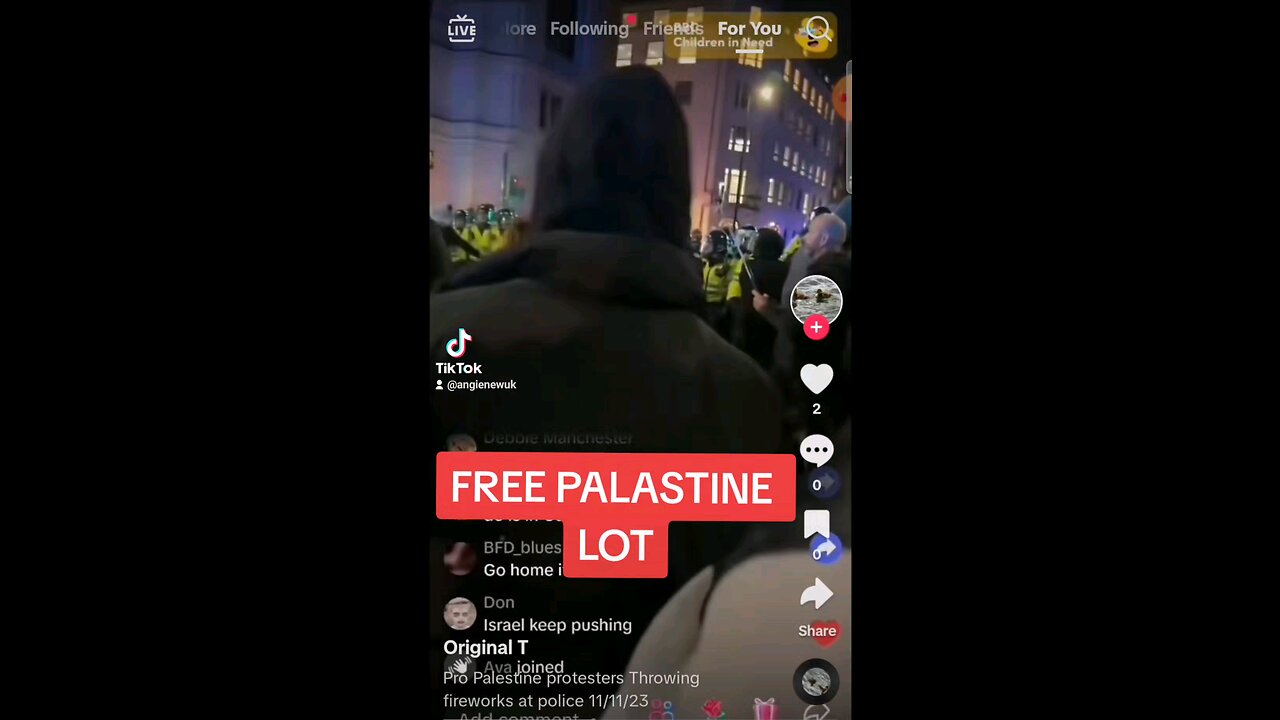 FREE PALASTINE THROWING FIREWORKS AT 10 DOWNING STREET