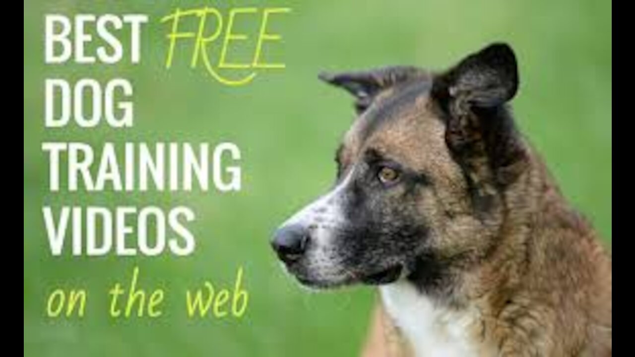 Treatless Dog Training Secrets By Anthony Louis