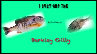 Hot Bait Alert! Berkley Gilly