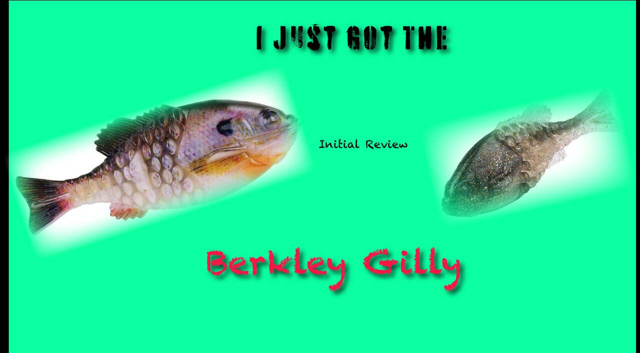 Hot Bait Alert! Berkley Gilly