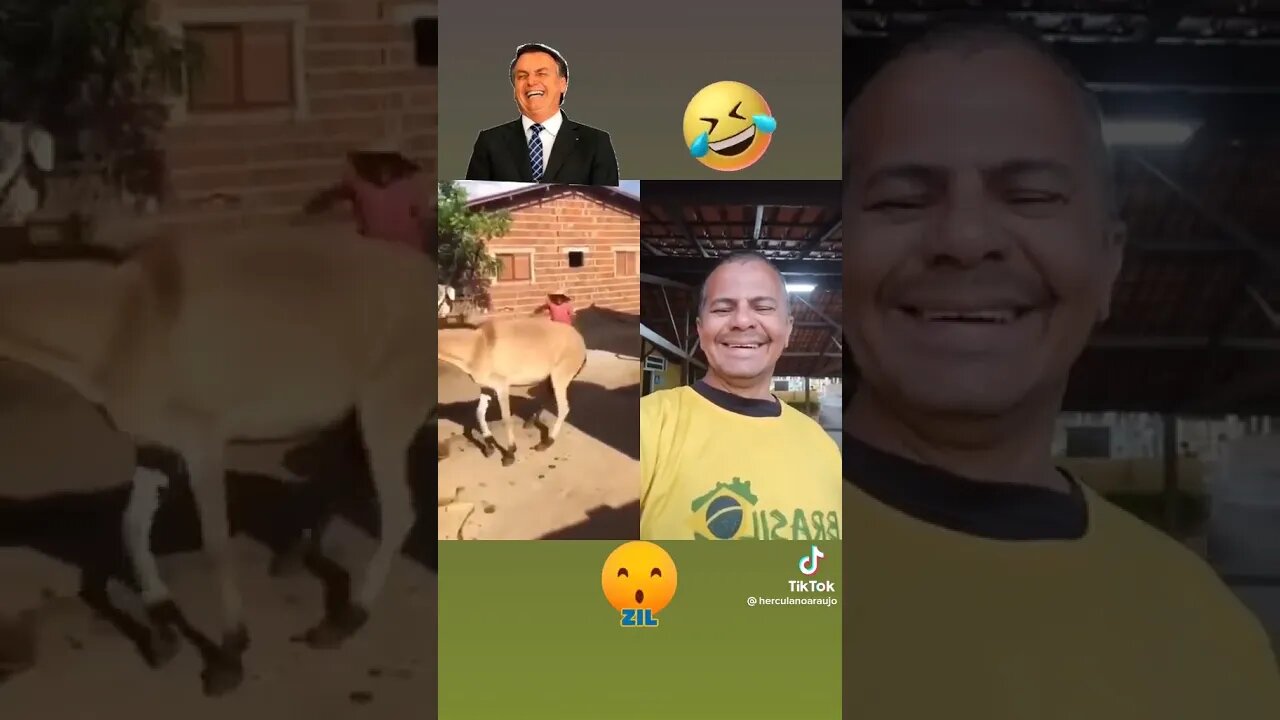 Égua com medo de virar comida não aceita que se fale em Lula