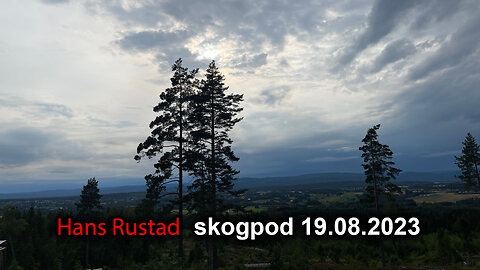 Skogpod 19. august 2023