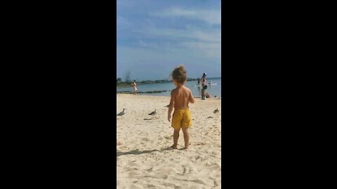 Feeding seagulls, Puerto Aventuras