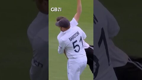 England cricketer Johnny Bairstow carries Just Stop Oil protester off The Ashes field #JustStopOil