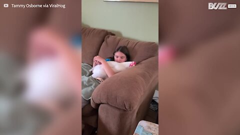 Rooster cuddles with girl on the couch