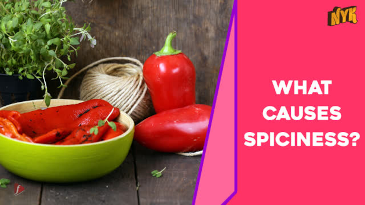 What Is the Science Of Spiciness